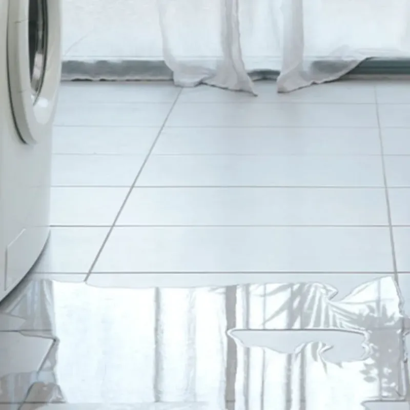 Appliance Leak Cleanup in San Jacinto County, TX