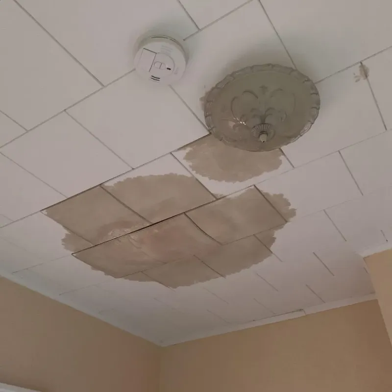 Ceiling Water Damage Repair in San Jacinto County, TX