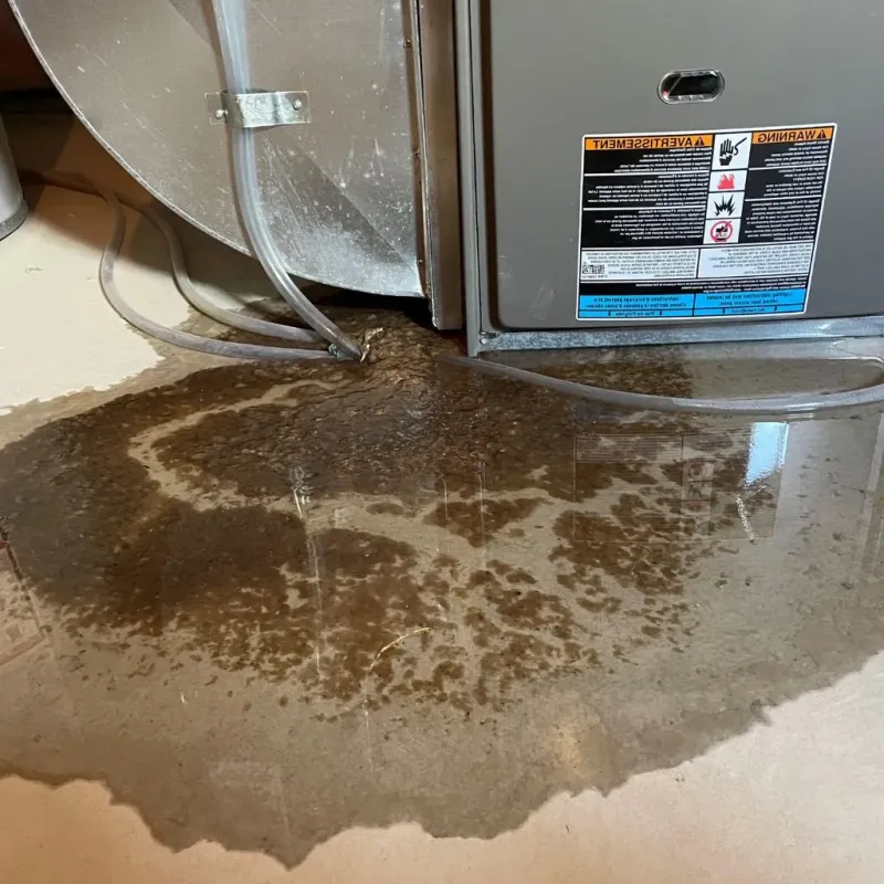 Pipe Burst and Leak Restoration in San Jacinto County, TX