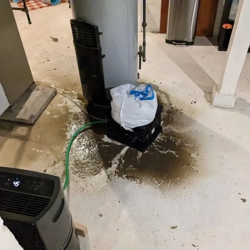 Sewage Backup Cleanup Service in San Jacinto County, TX